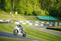 Evening Adv_Mid Group White Bikes